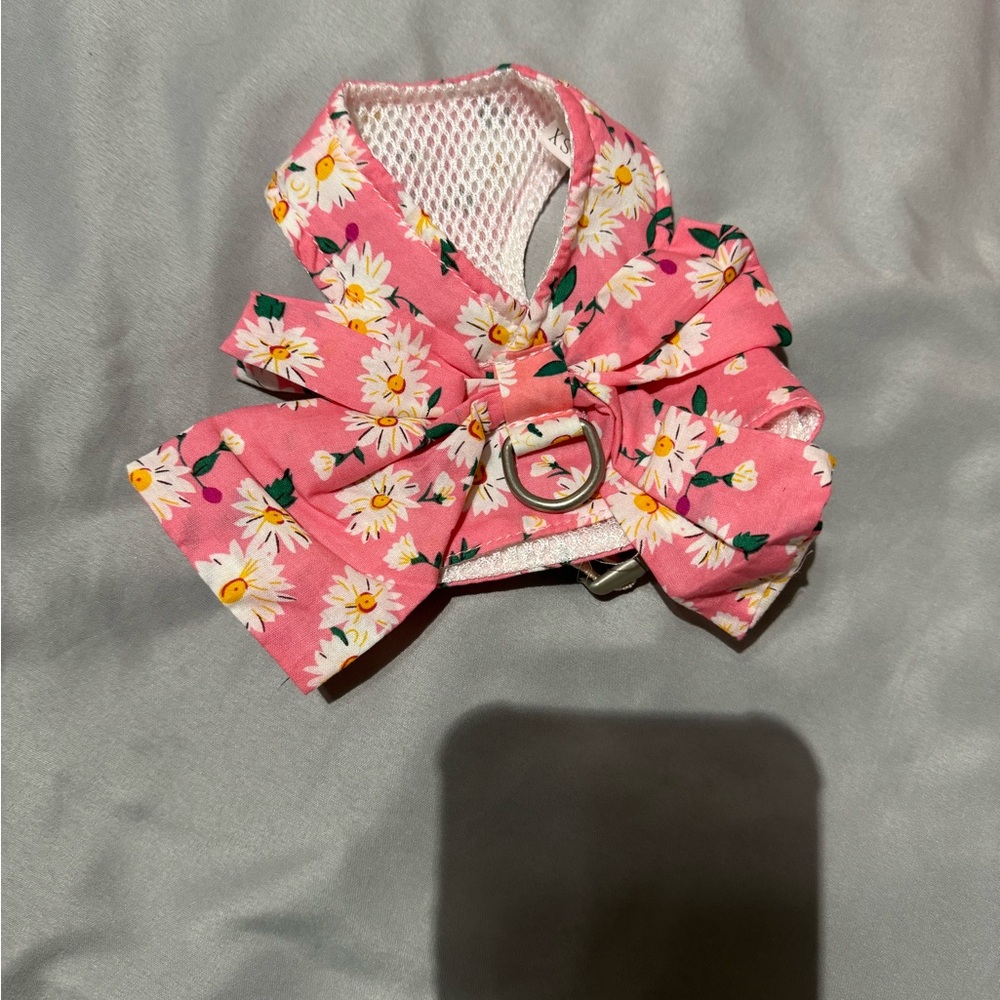 XS dog harness with matching leash